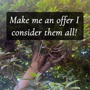 Make me an offer!!